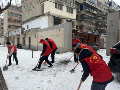 河南省科学技术交流中心组织党员干部职工清扫积雪