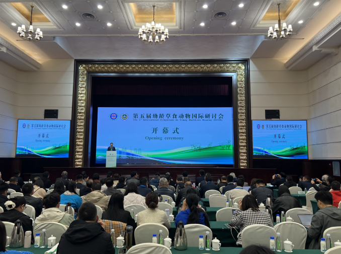 1761616330400001.png 1761616330400001.png