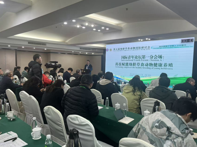 1761616378176051.png 1761616378176051.png